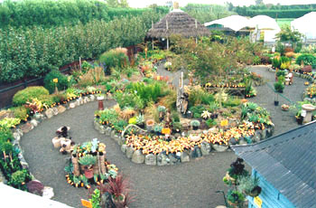 Bird's eye view of the nursery.